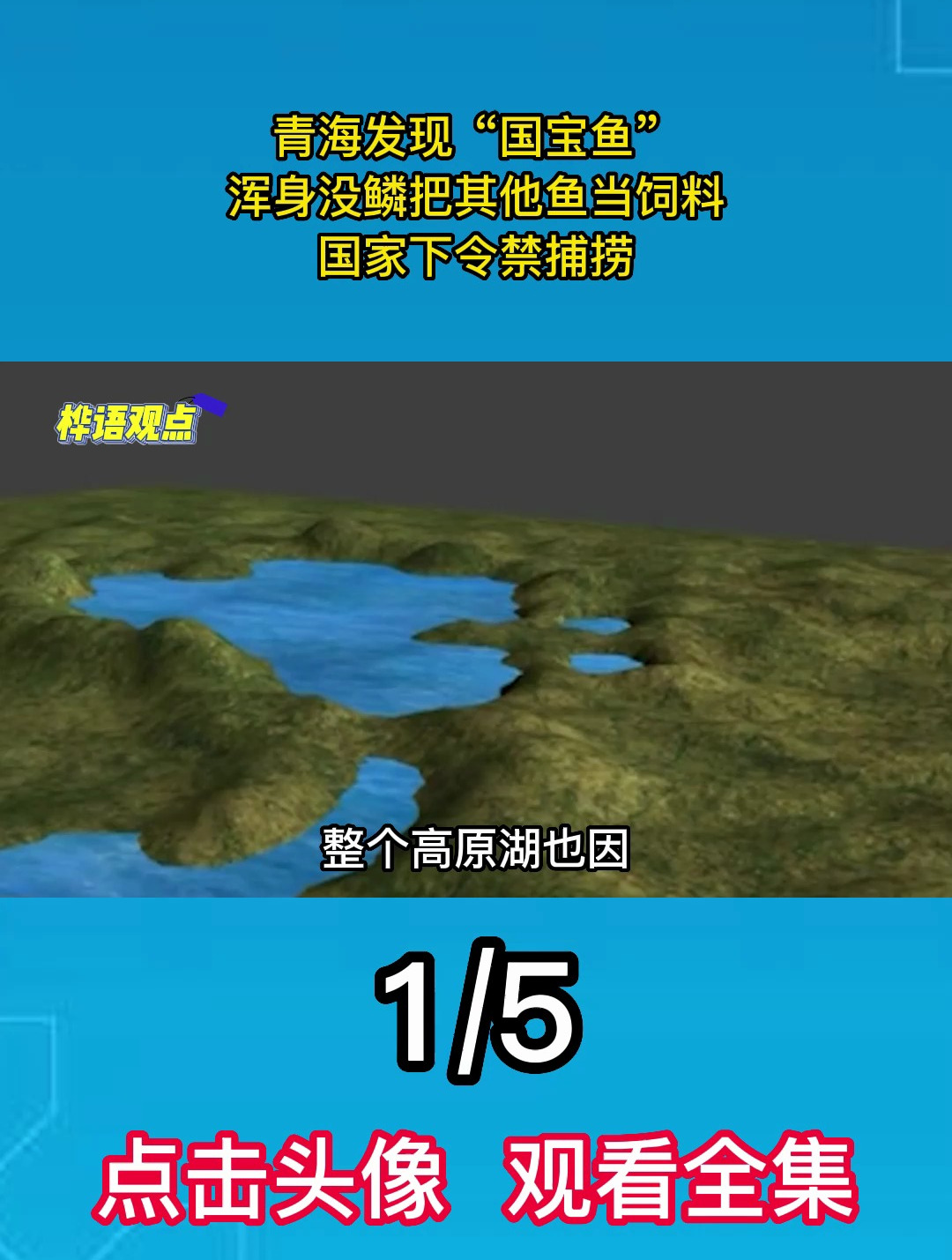 青海发现“国宝鱼”,浑身没鳞把其他鱼当饲料,国家下令禁捕捞