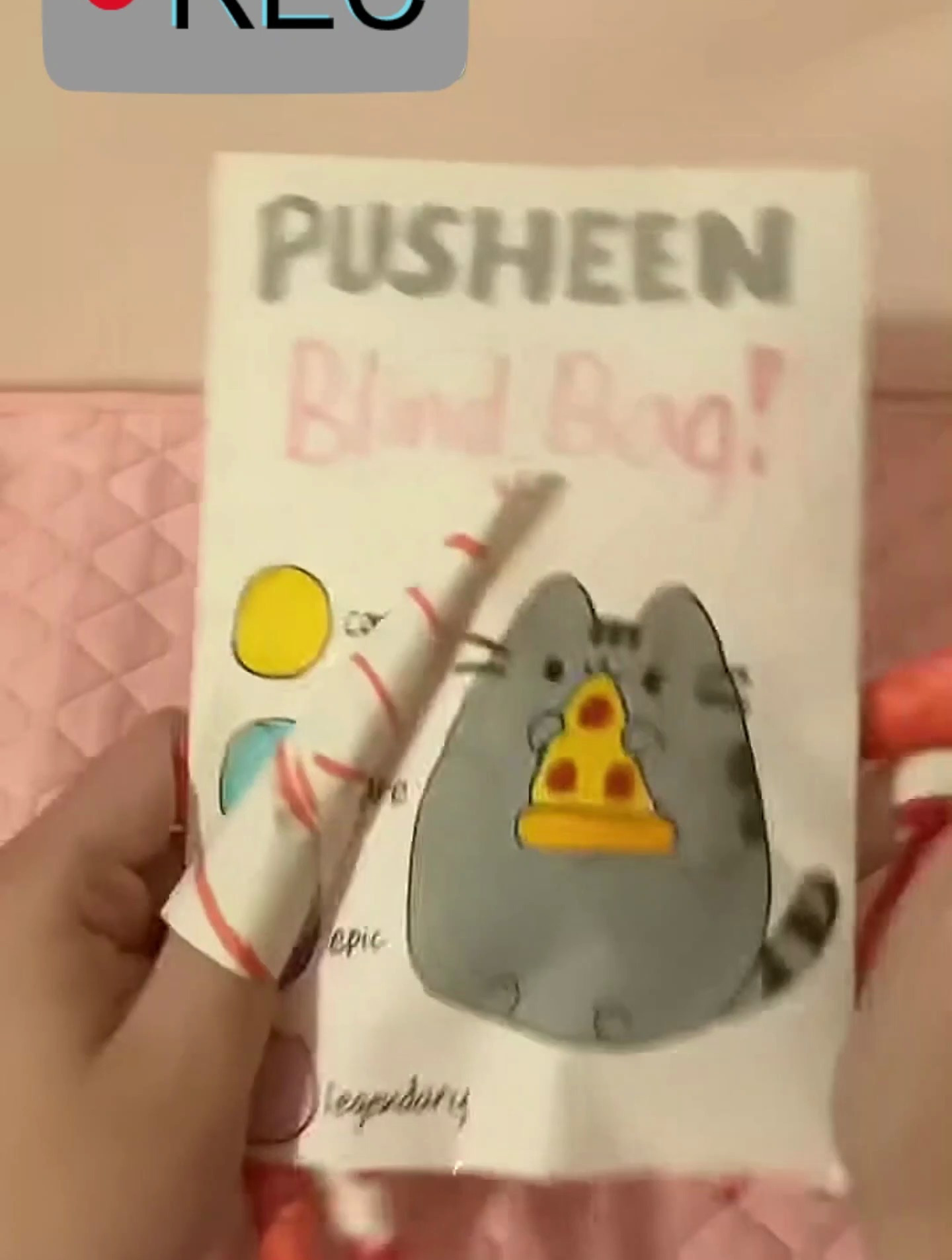 手作盲盒:猫咪甜甜圈盲袋