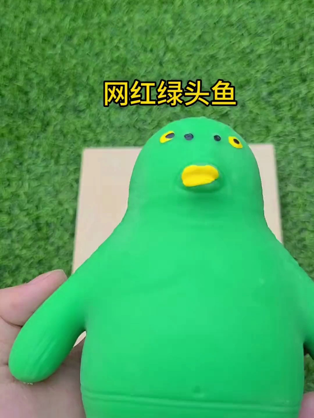 今天来测一下网红绿头鱼,看看怎么个事儿