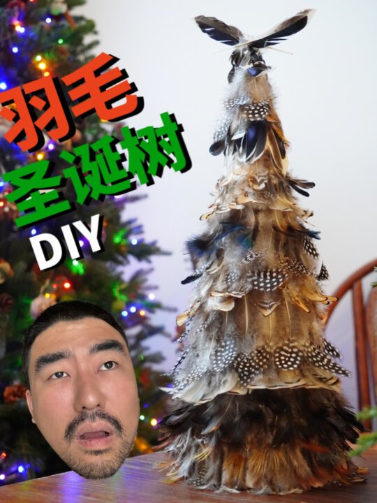 0元圣诞树挑战太卷了!只能拔野鸡毛了!