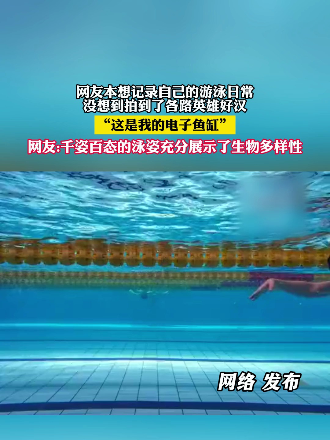 “这是我的电子鱼缸”网友:千姿百态的泳姿充分展示了生物多样性