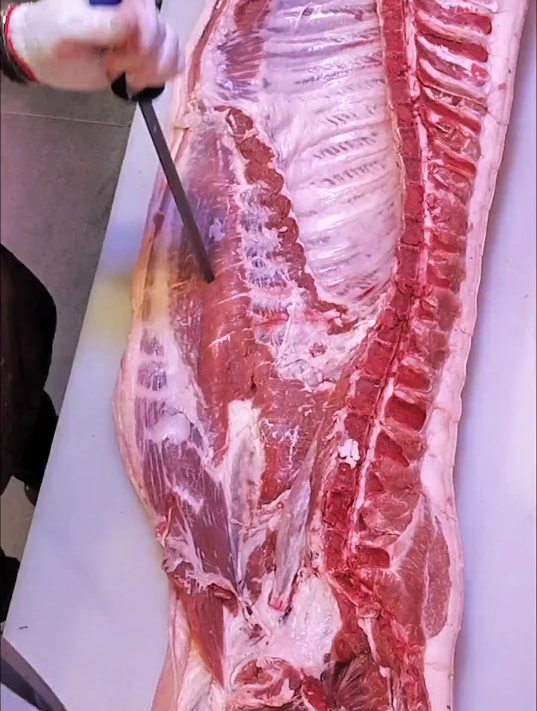 今天学习取排骨,方法简单,看完就会。猪肉分割技巧