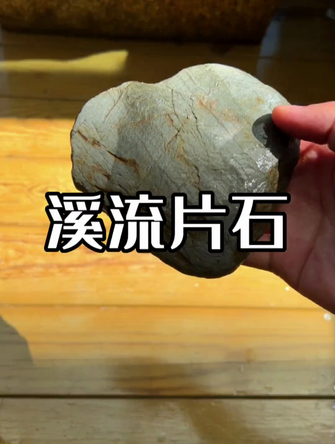 溪流片石可以在各种鱼缸当中进行造景,发挥想象力打造出梦中情缸