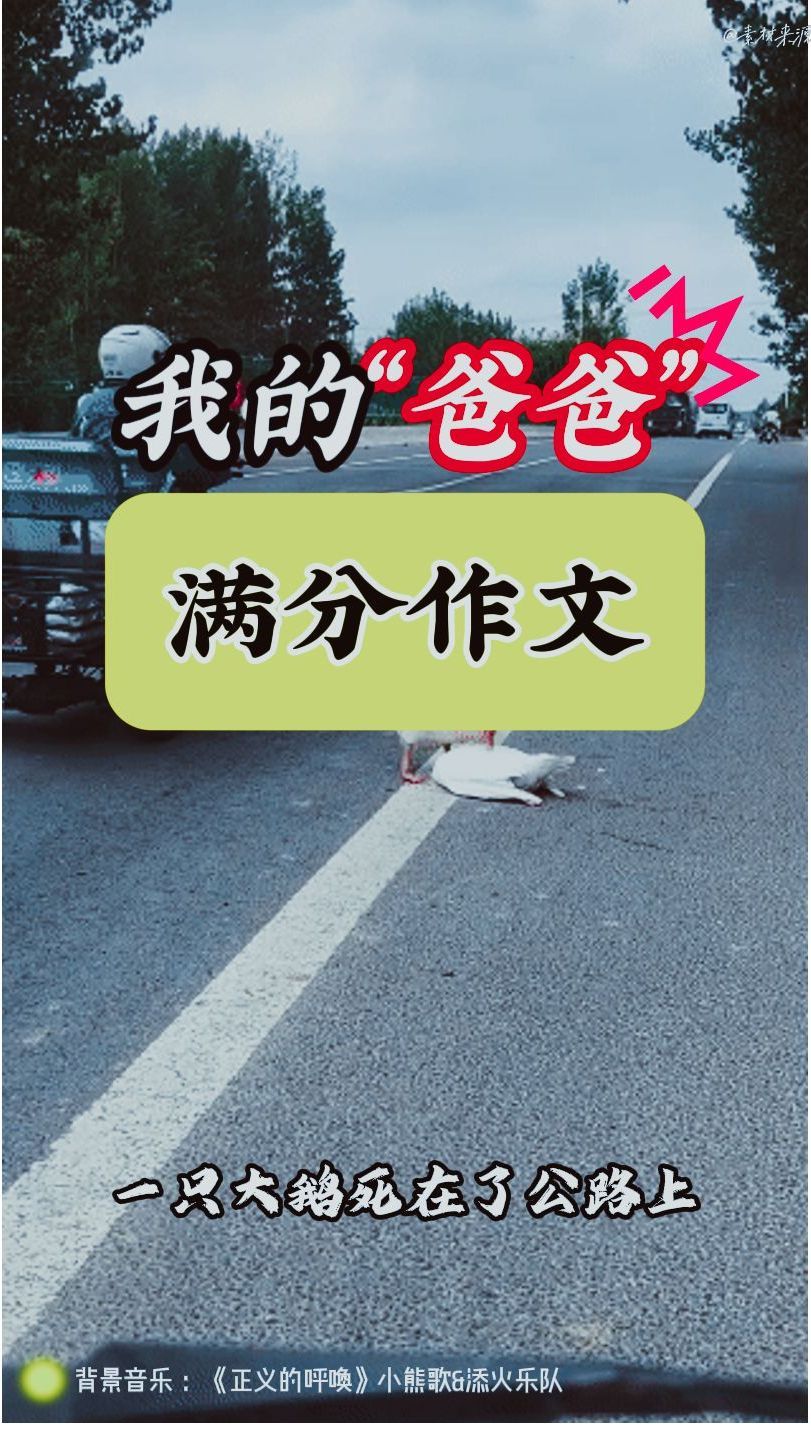 满分作文《我的爸爸》30秒讲故事