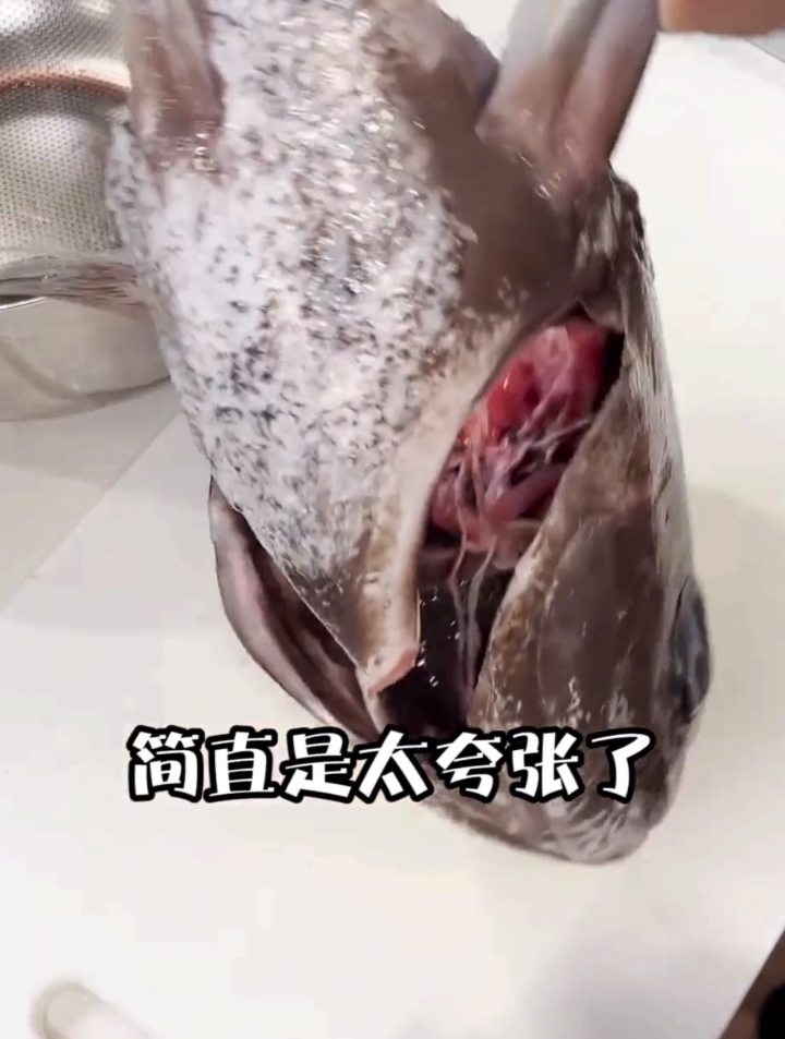 铁锅炖鱼头!这鱼头也太大了!