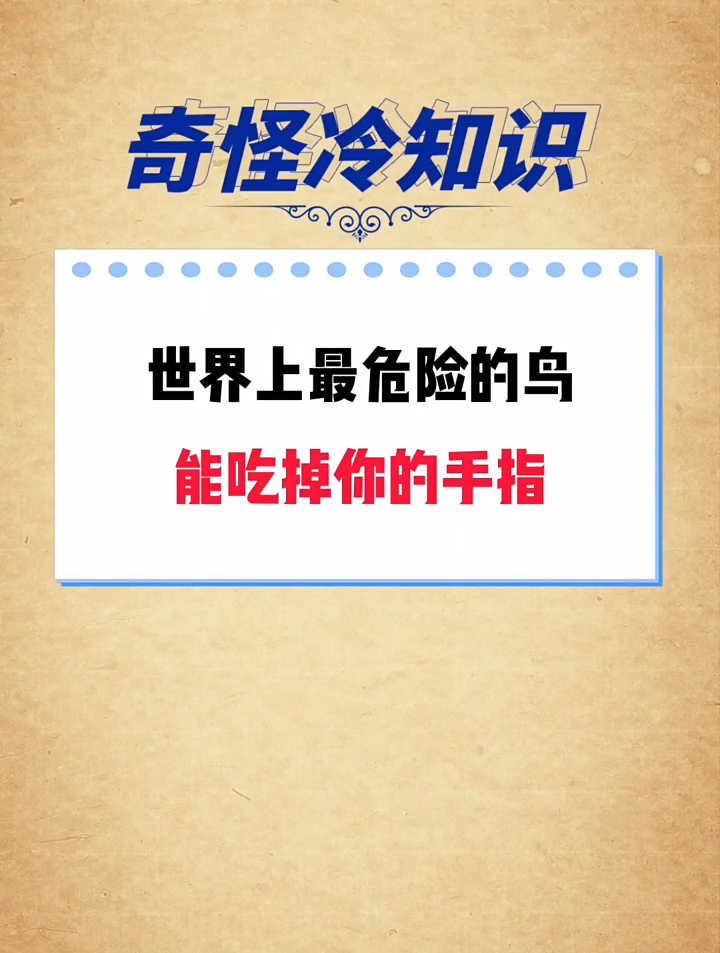 世界上最危险的鸟,真的太吓人了