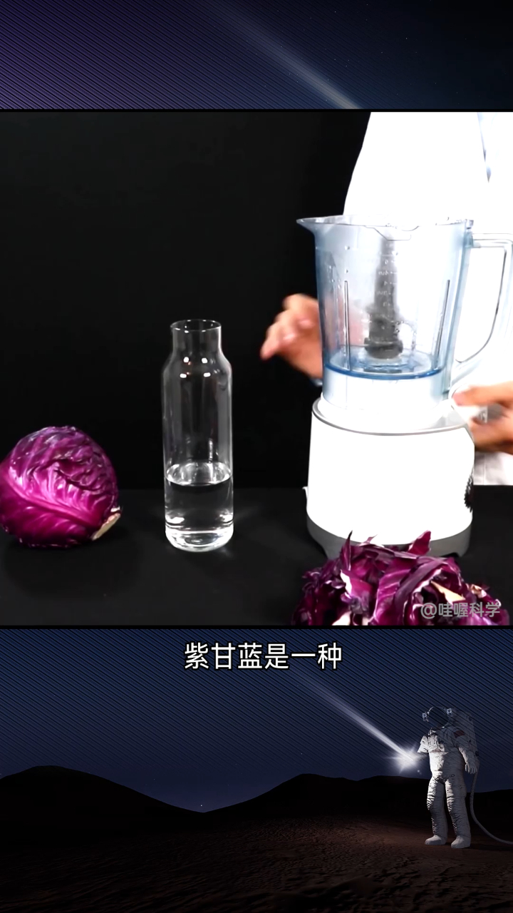 用紫甘蓝制作酸碱指示剂,小蔬菜的大作用!