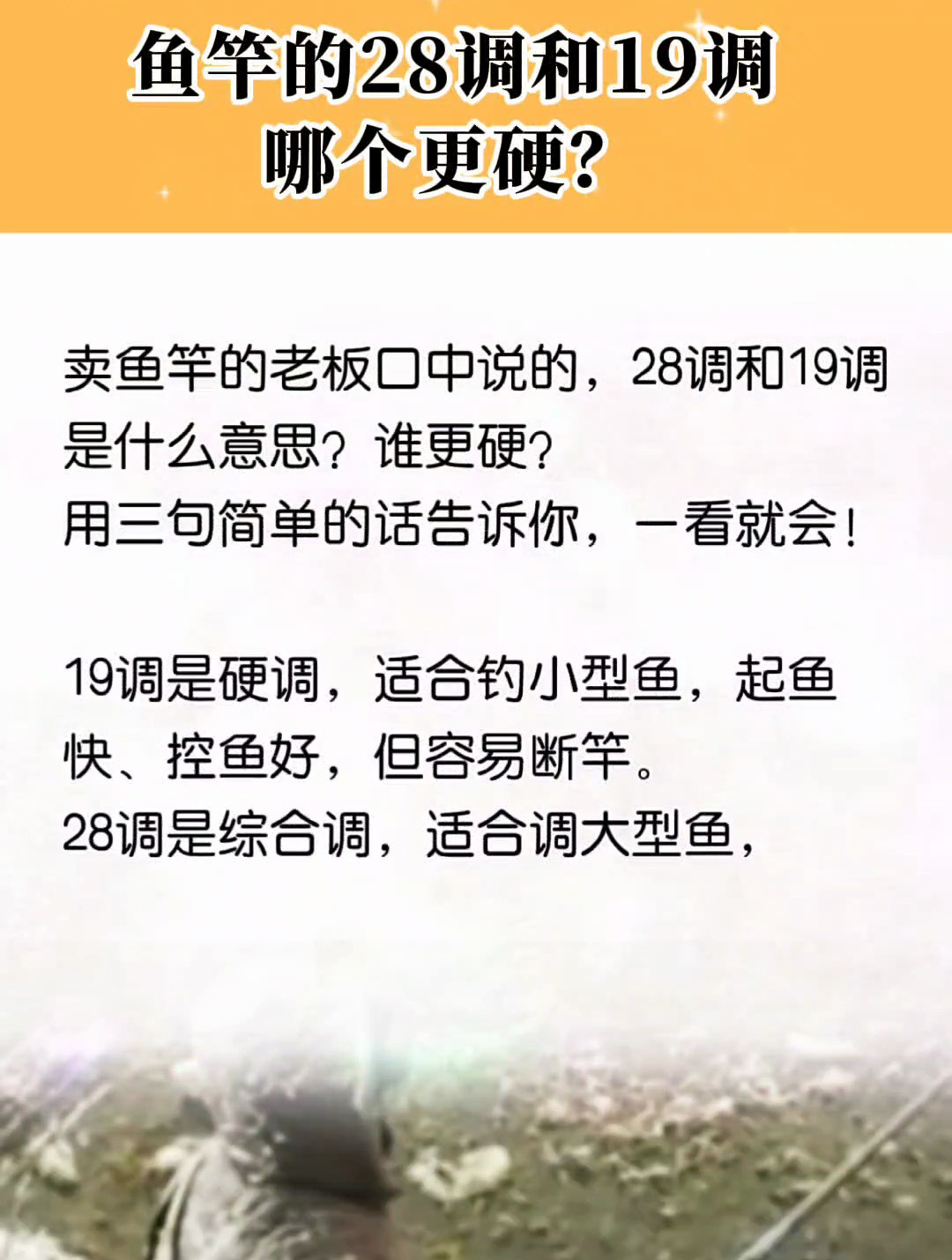 鱼竿的28调和19调谁更硬?