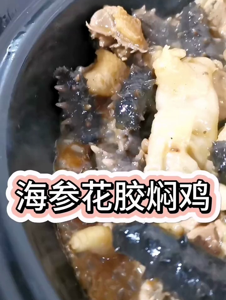 美味的海参花胶焖鸡