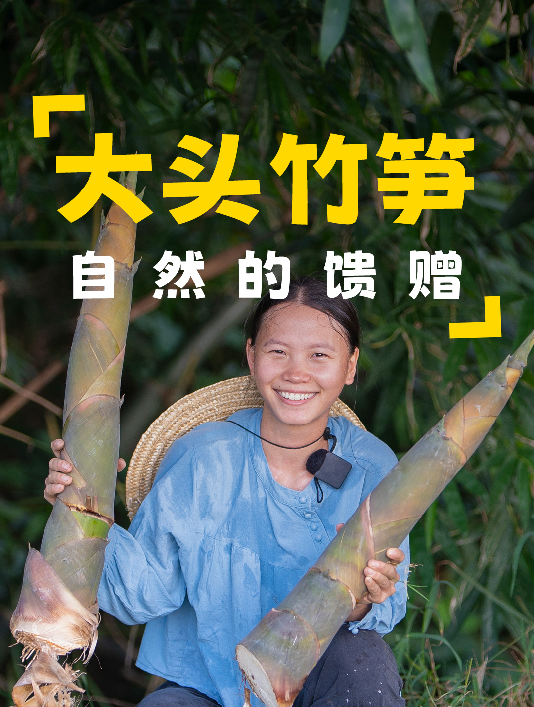 又是一年一度的大头竹笋采收期,砍一些回去晒干,用来炖鸡汤