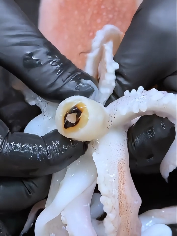 吃货的新挑战:揭开日式烤鱿鱼嘴的诱人面纱