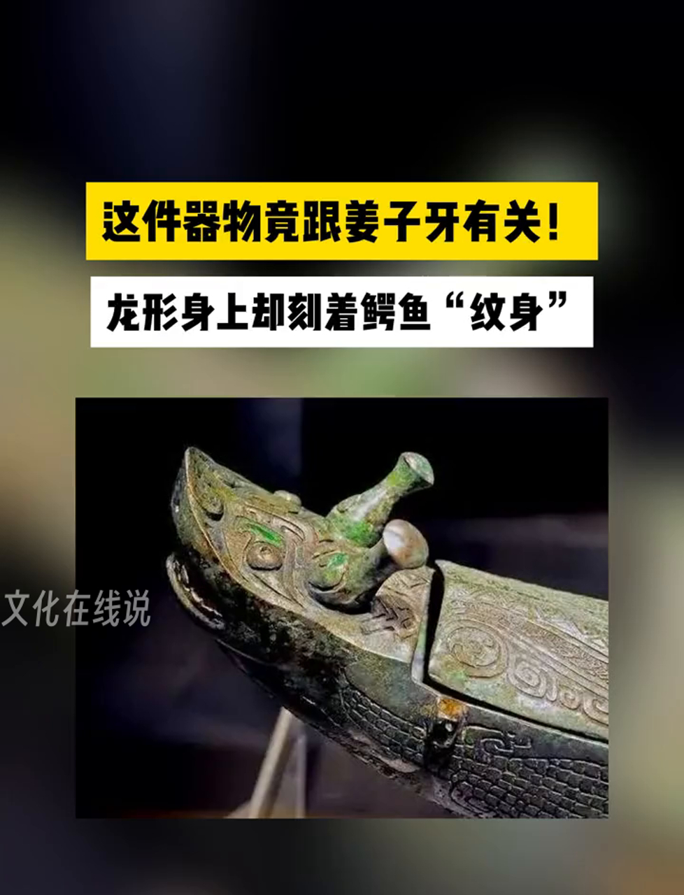 这宝贝可了不得,全国独一份儿龙的模样,身上却纹着鳄鱼的图案