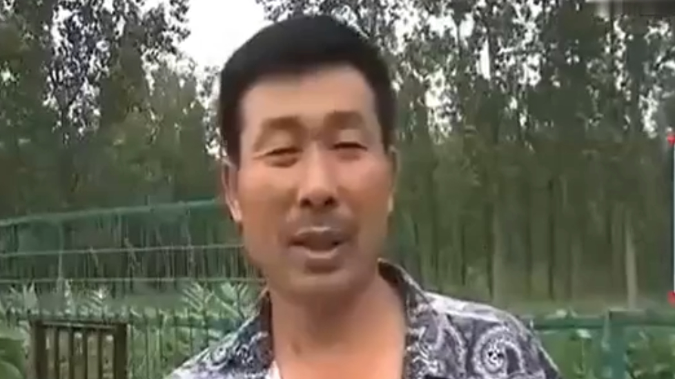 娃娃鱼要在阴暗潮湿的地方养殖 行情不好 养殖户却依然实现盈利