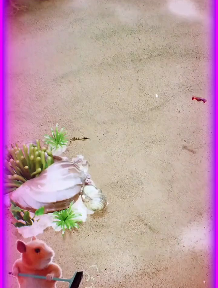 小游戏推荐分享666