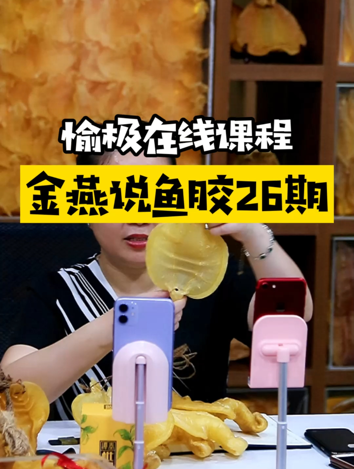 愉极在线课程金燕说鱼胶26期