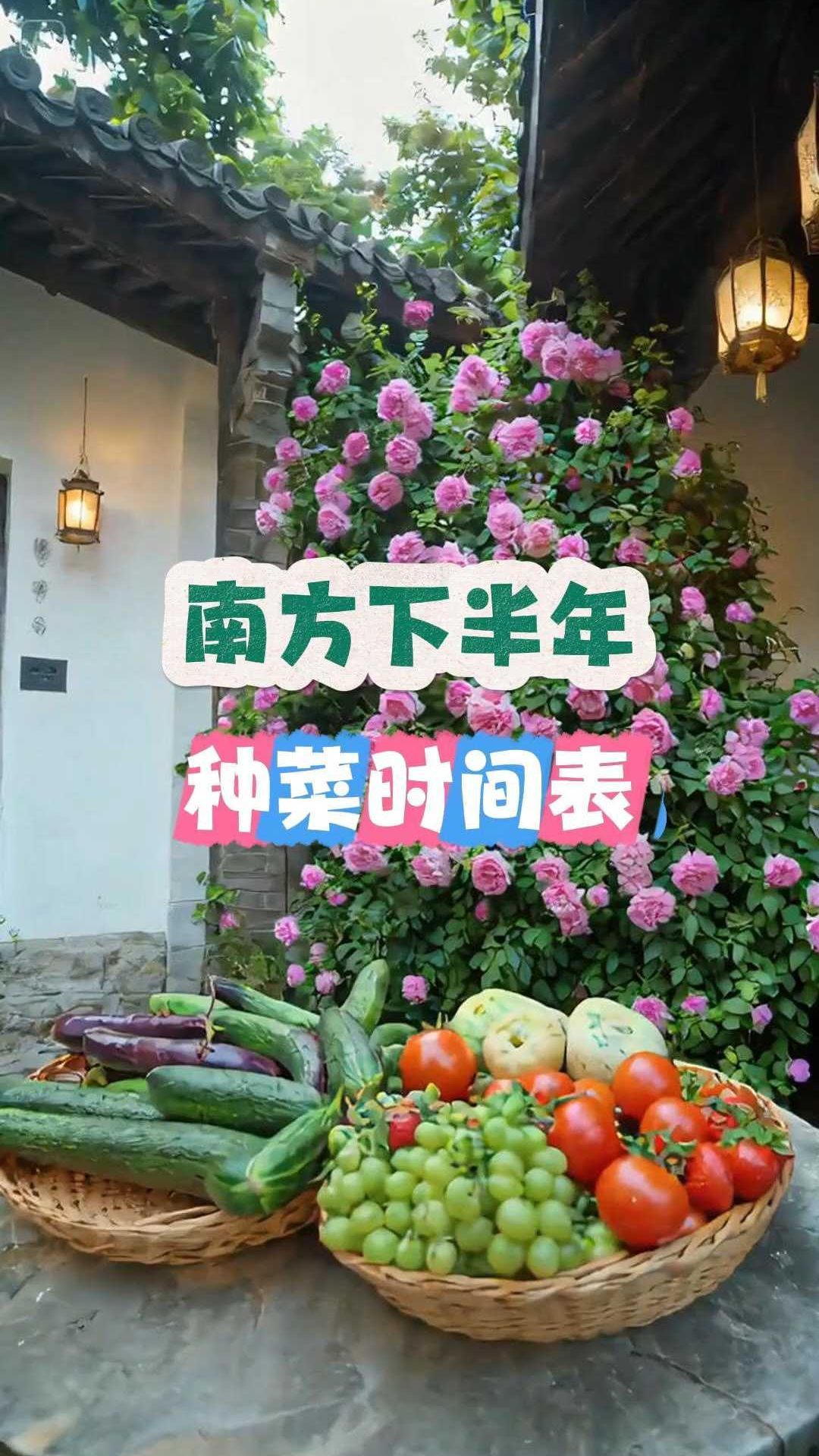 南方下半年种菜时间表