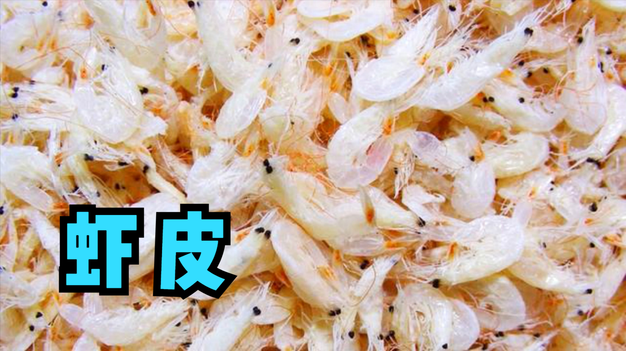 虾皮你家还在吃吗?多亏渔民大叔告知,早些提示家人,不懂快学学