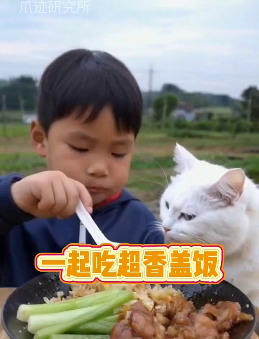 咱家菜园的芹菜熟了,猫咪炒的芹菜肉盖饭真香!