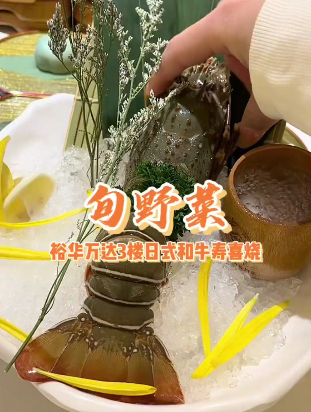旬野菜日式和牛寿喜烧单人自助 简直和牛吃到爽 一人