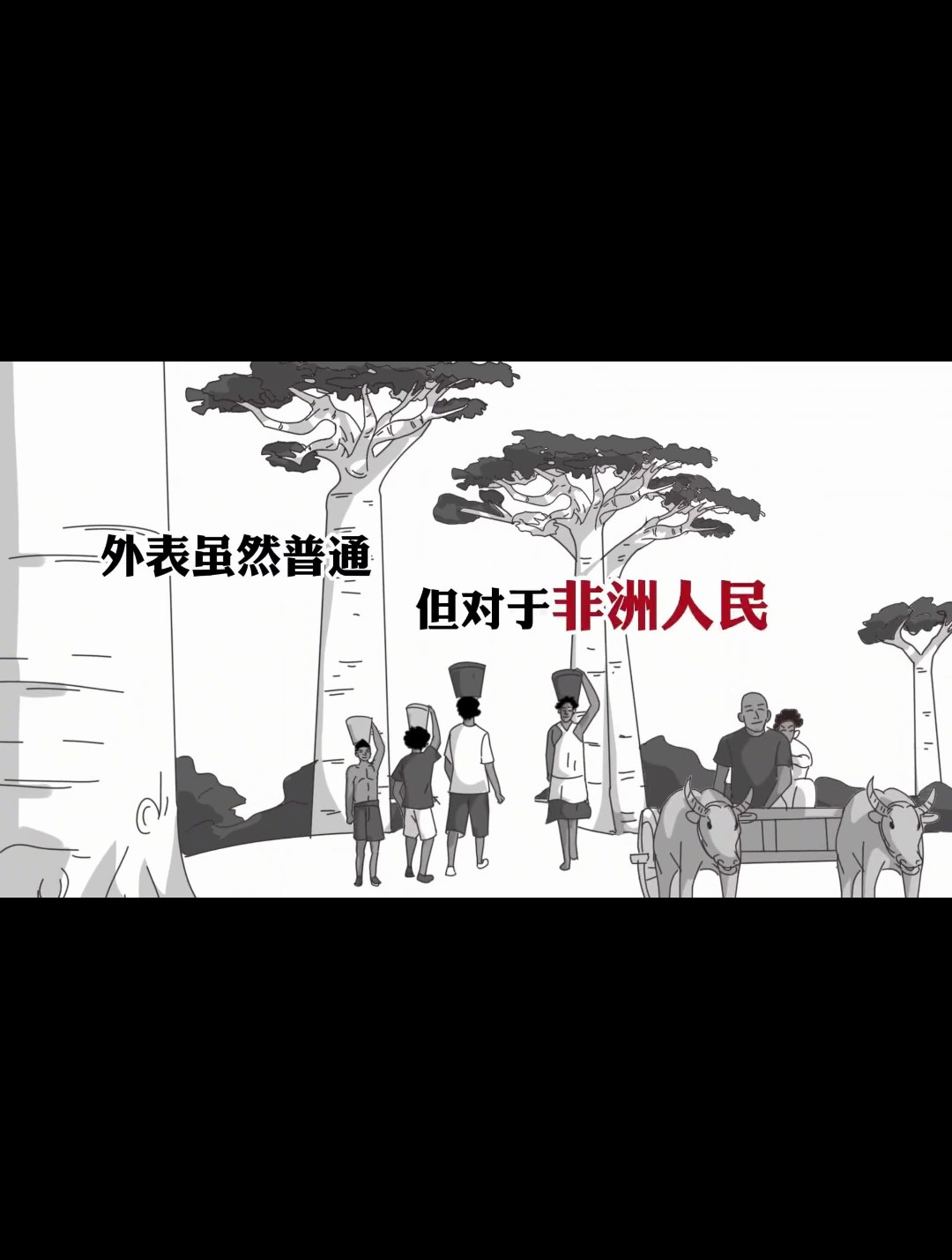 太神奇了!猴面包树能吃能喝还能住!