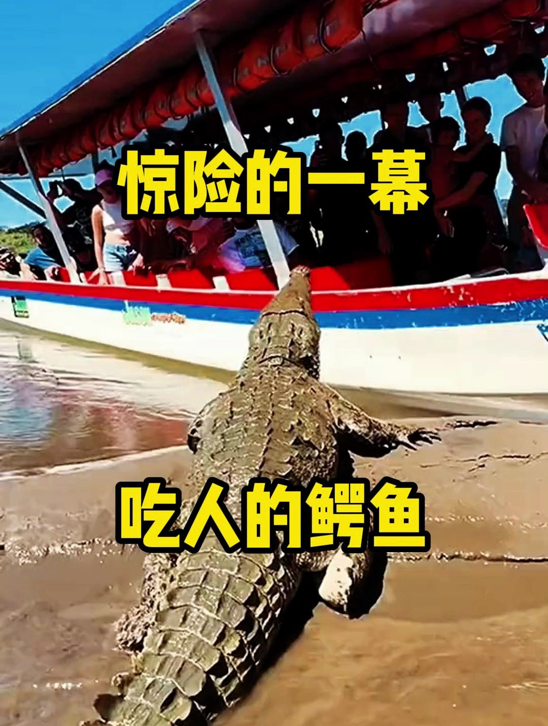 游客偶遇吃人鳄鱼,惊险的一幕