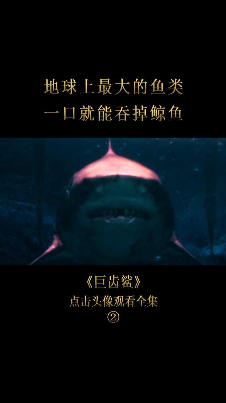两百万年前物种来袭,一口就能吃掉鲸鱼!