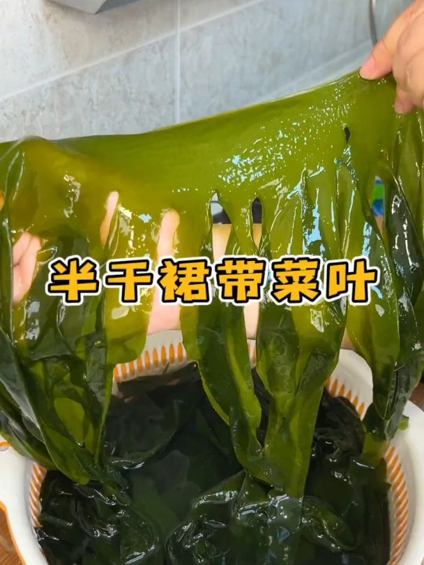 这个 裙带菜 又称长寿菜,凉拌涮火锅,煲汤做馅,想怎么吃都可以