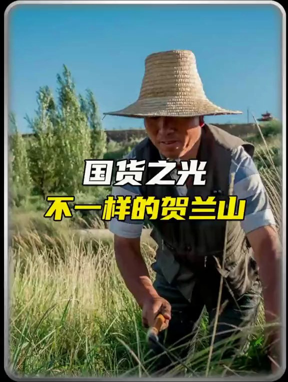 国货之光,不一样的贺兰山