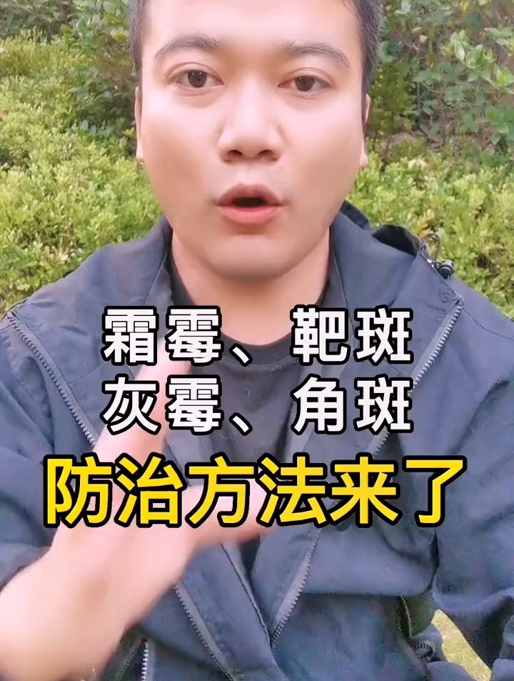 霜霉病、靶斑病、灰霉病、角斑病防治方案来了,记好