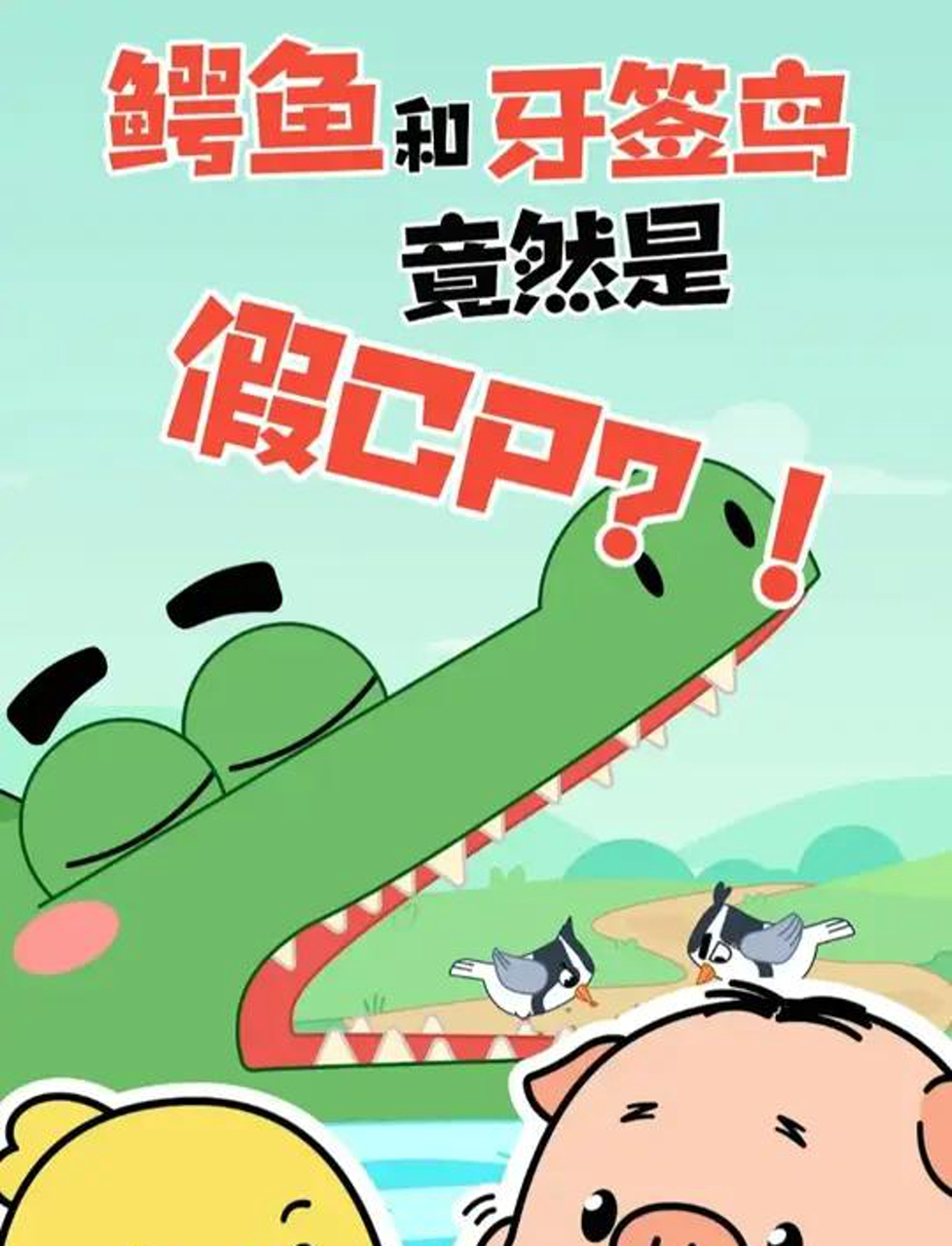 鳄鱼和牙签鸟竟然是假CP？