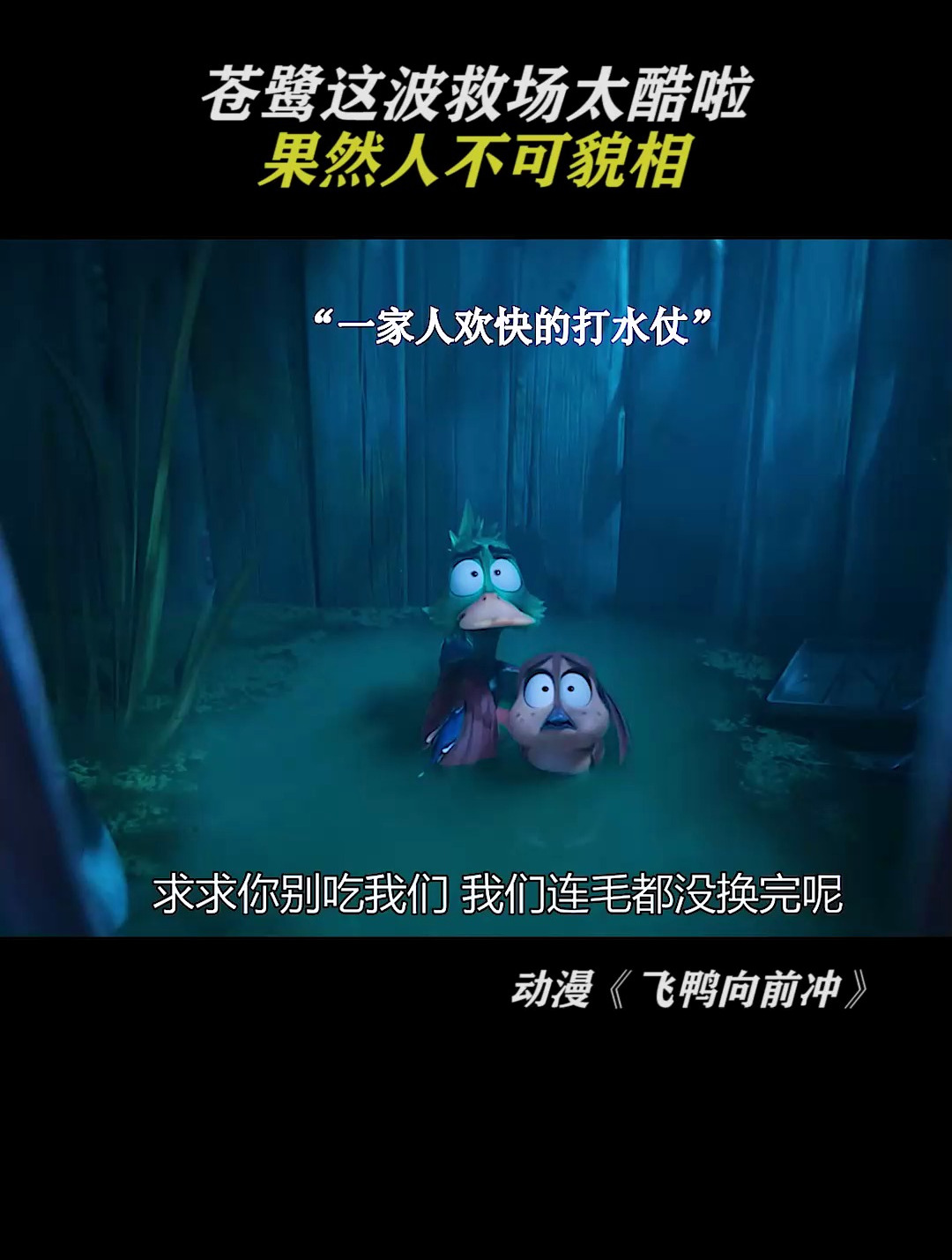 飞鸭向前冲:大坏鱼还捣乱