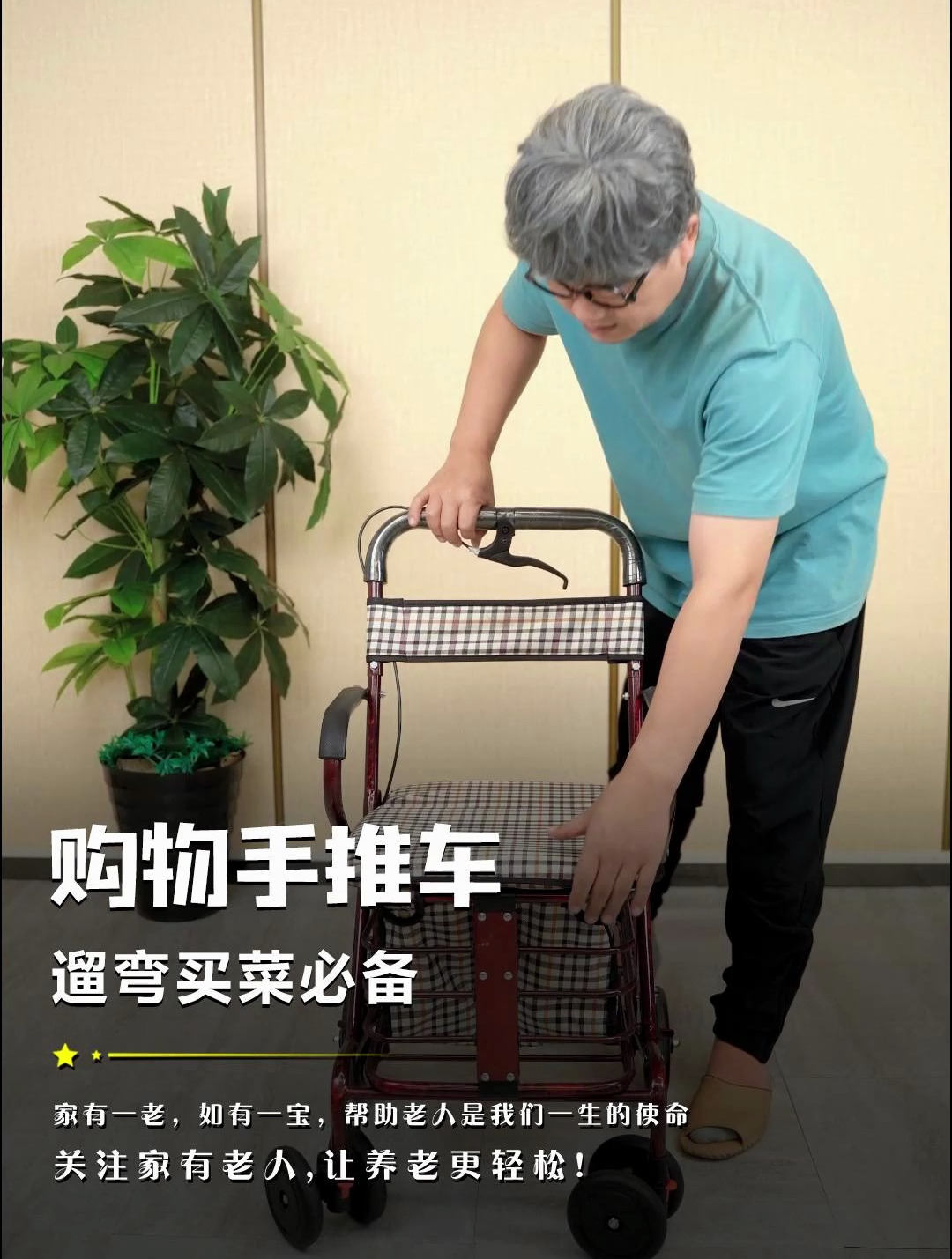 老人买菜遛弯手推车