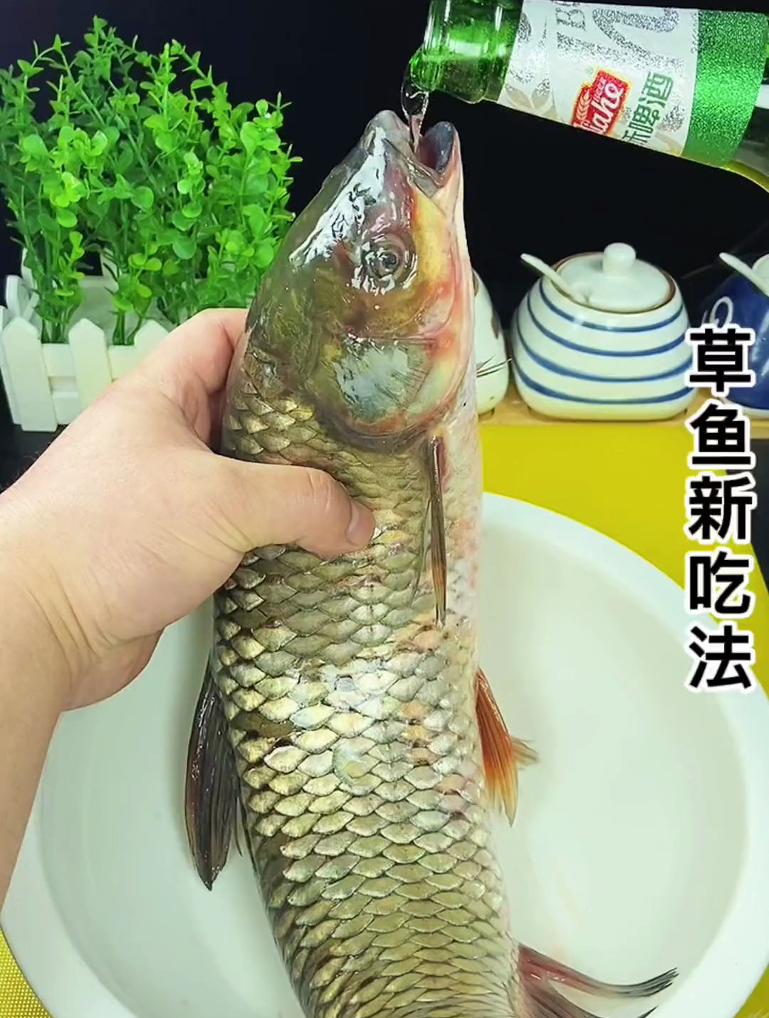教你草鱼的新吃法