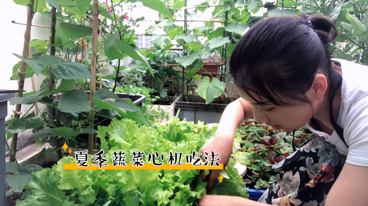 蔬菜的小心机:芹菜、香菜抽薹怎么办?夏季生菜怎么吃最合适