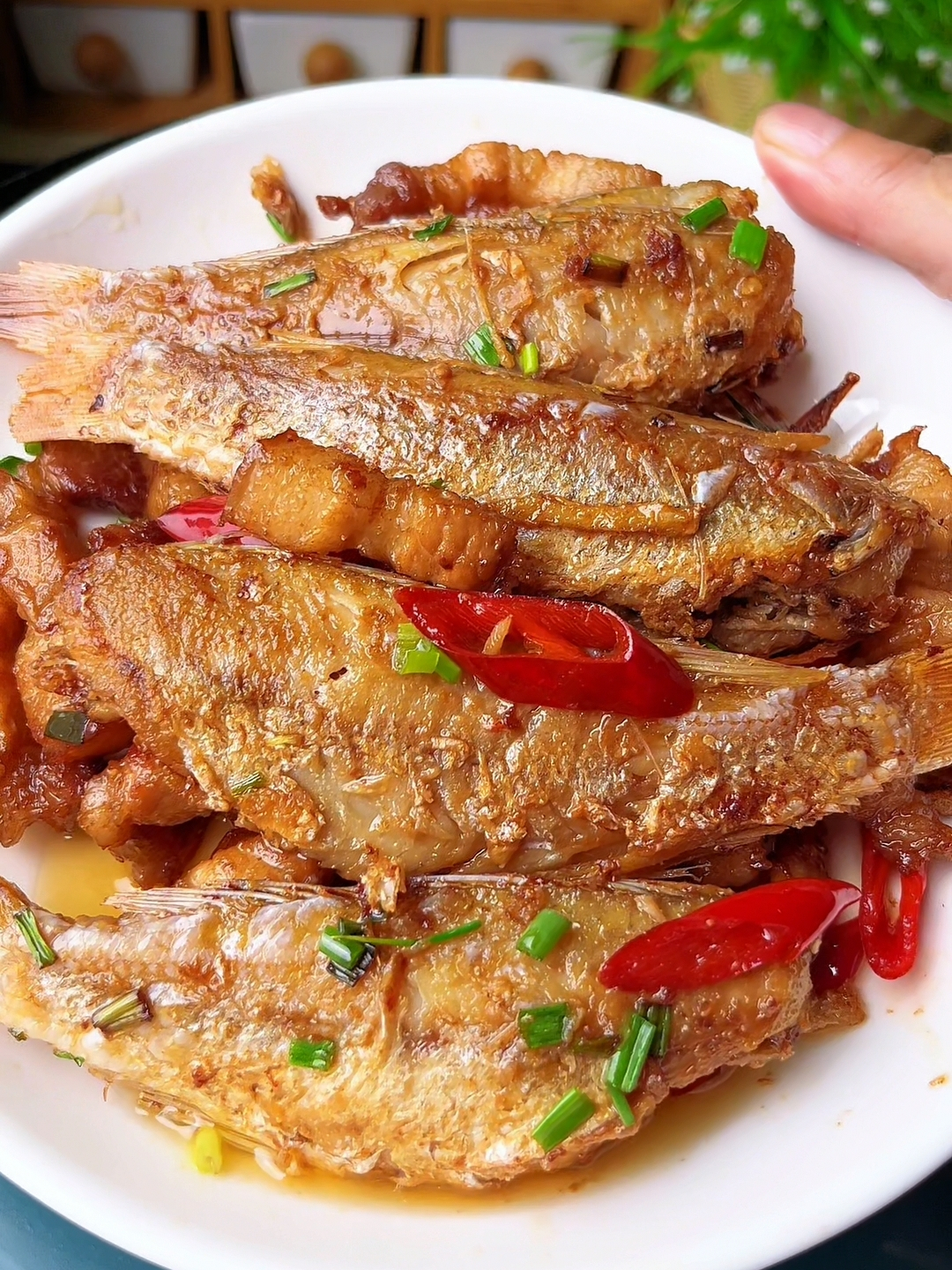 咸鱼加五花肉,出锅就成海边人喜欢吃的做法,配饭配粥能吃3大碗