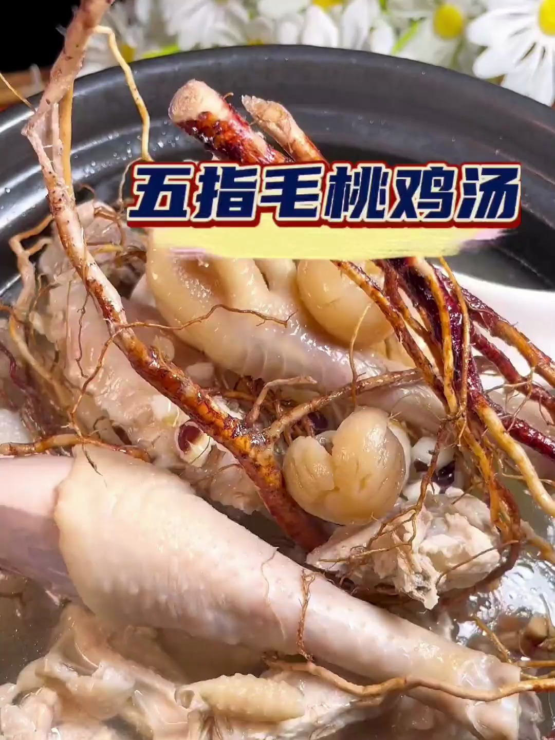 每周三碗五指毛桃茯苓鸡汤,虚不受补的人收好它