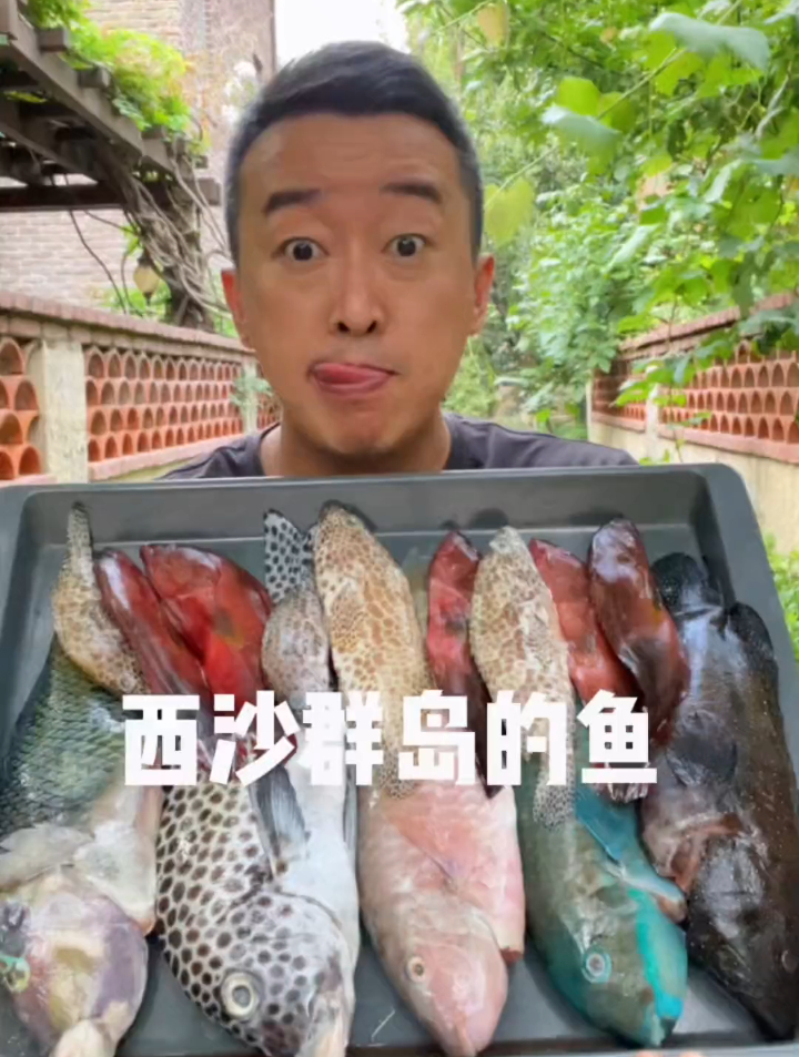 稀缺好货来啦!西沙群岛的鱼!