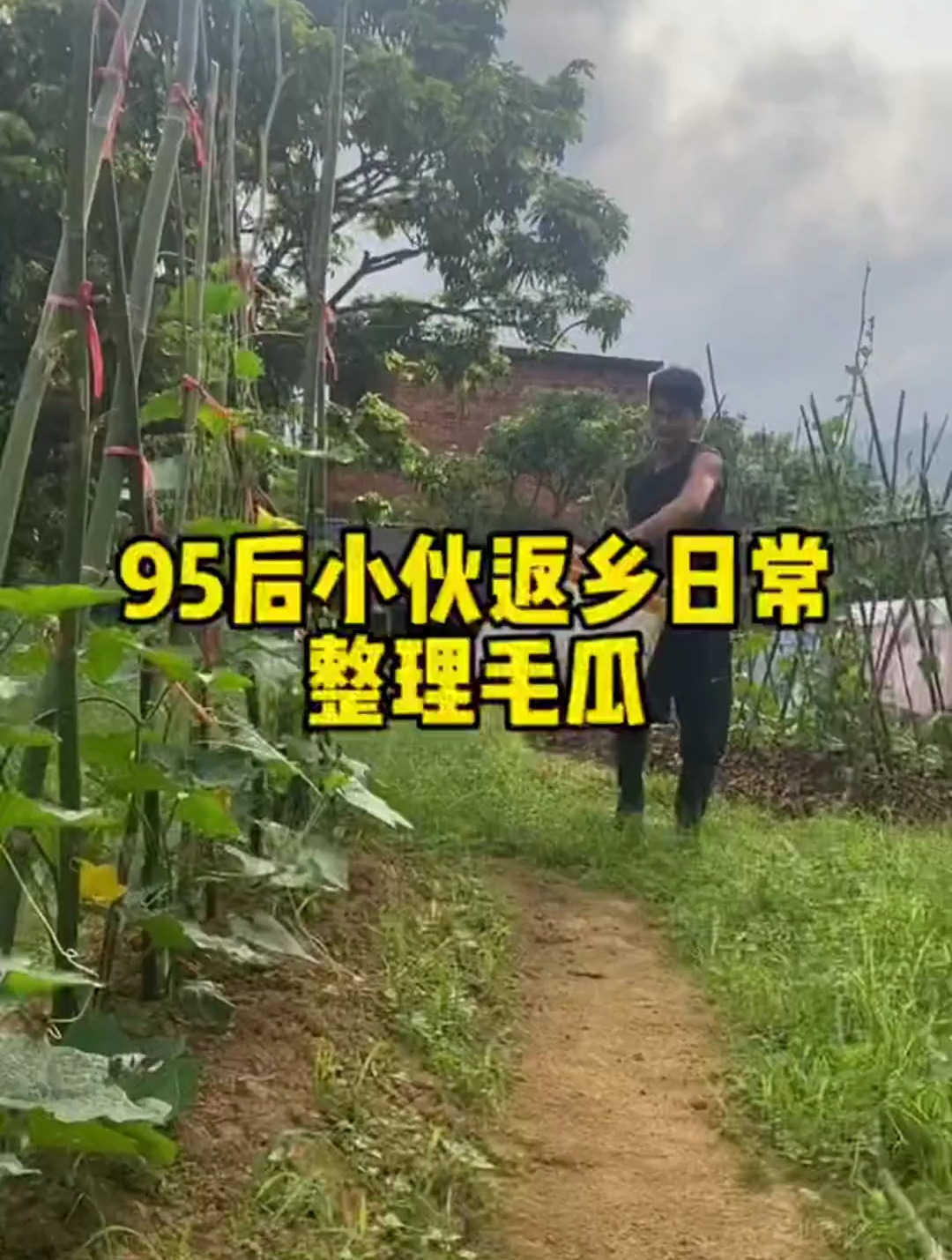 今天轮到整理毛瓜了,也给大家分享了农村蒜香小溪鱼的做法
