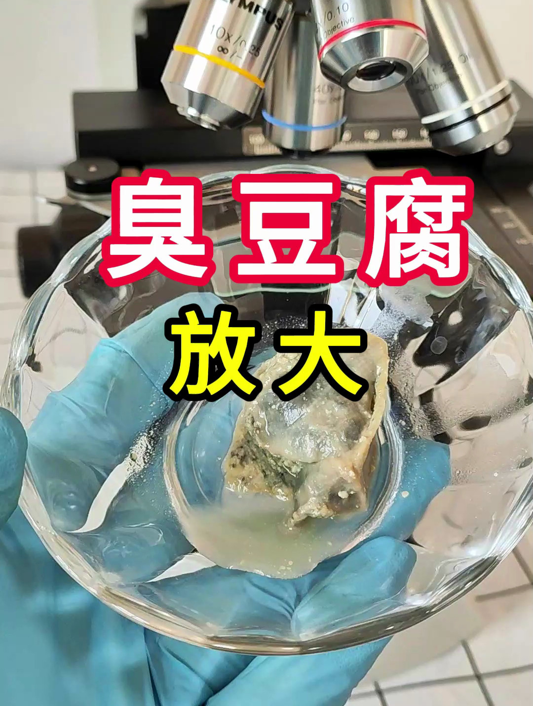 臭豆腐显微镜下放大。你爱吃臭豆腐吗?