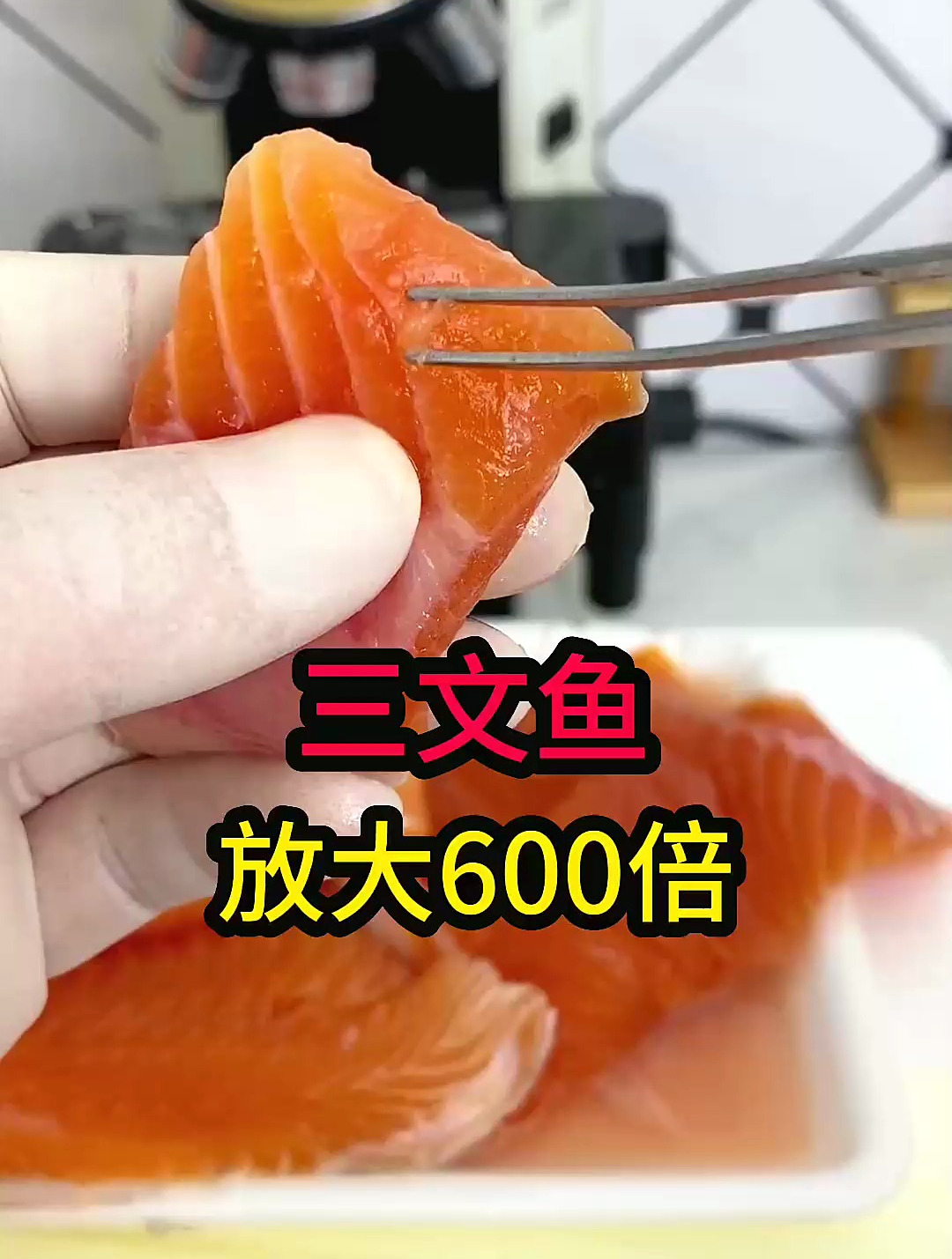 三文鱼刺身你吃过吗?寄生虫你见过吗?生鱼片_ 食品安全