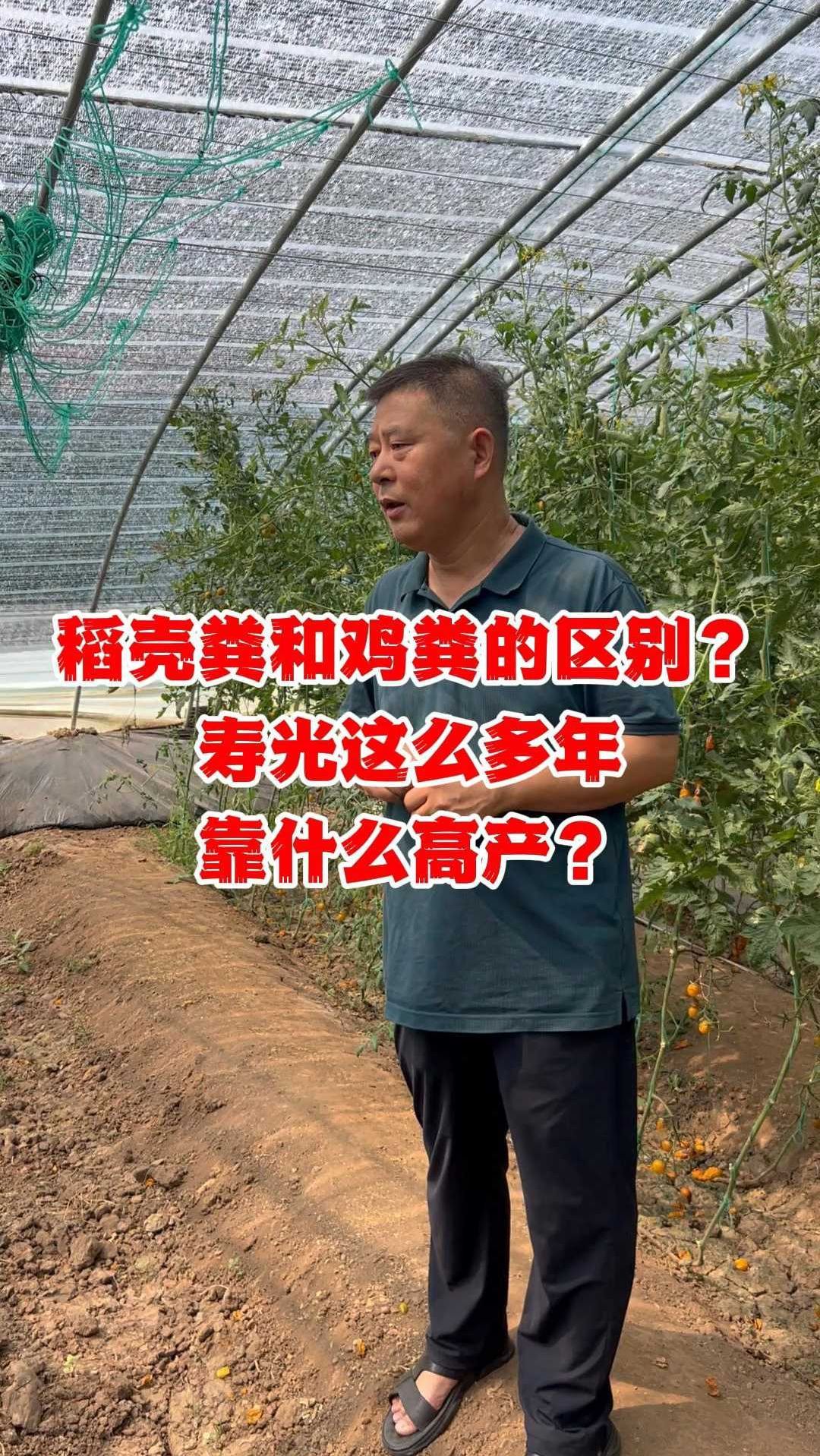 稻壳粪和鸡粪的区别?
