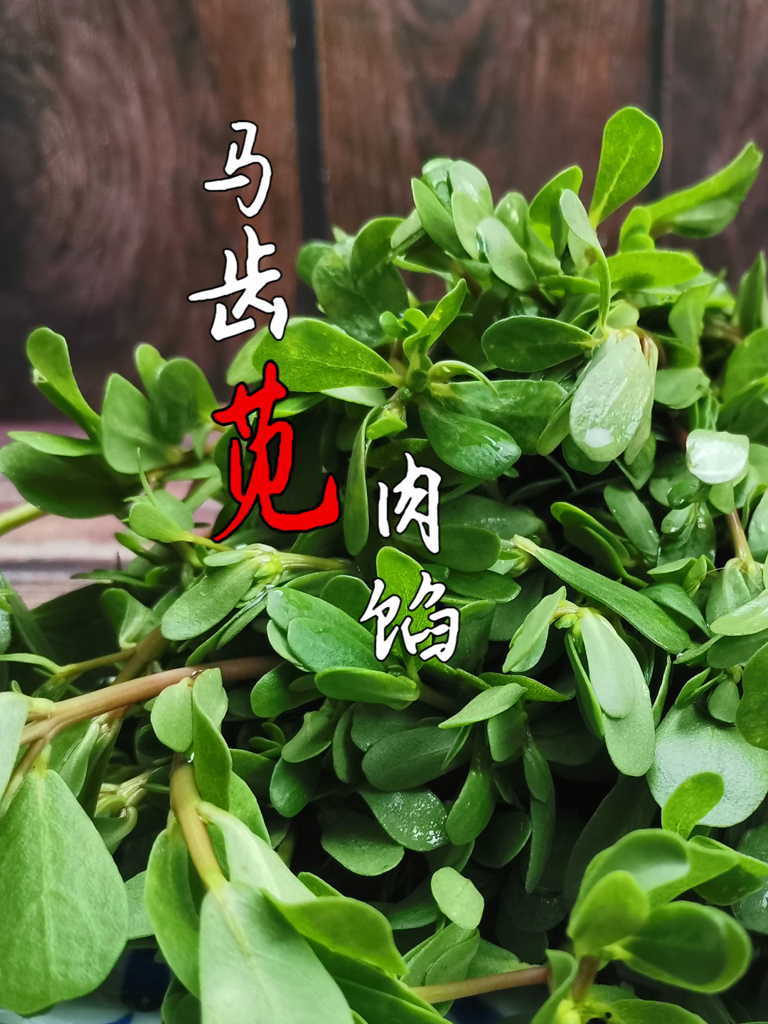 马齿苋包子馅怎么做好吃?记住肥瘦比做对水打馅,爆汁流汤太鲜了
