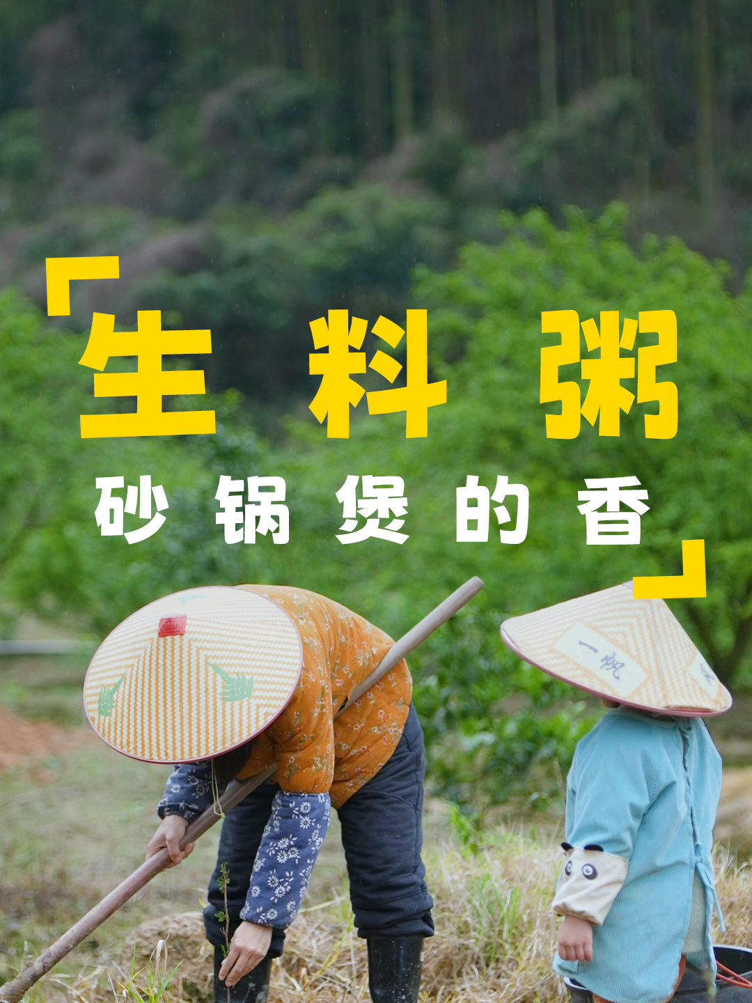 春雨贵如油,趁雨季,种上剌梨,期待丰收,晚上煲一锅生料粥