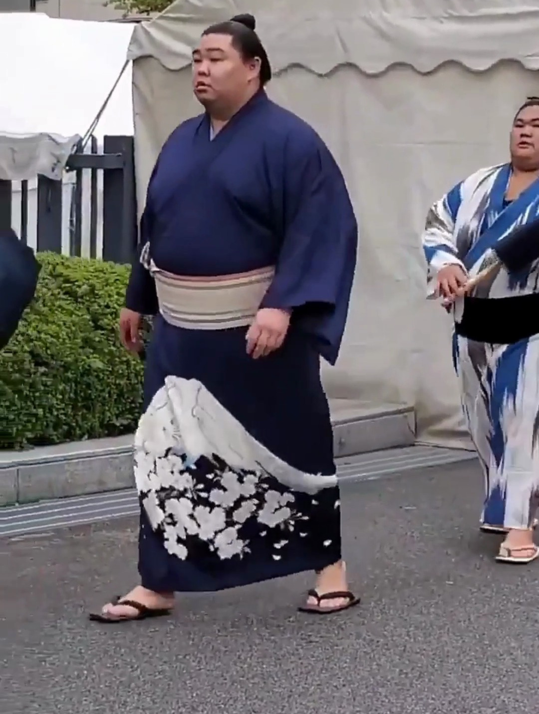 话说相扑手都是脂肪包裹的肌肉男,网友:这一巴掌能打死我