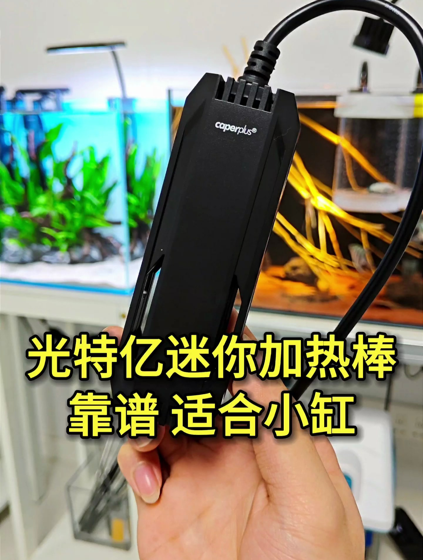 60厘米以下鱼缸用什么加热棒?光特亿迷你加热棒,离水断电很靠谱