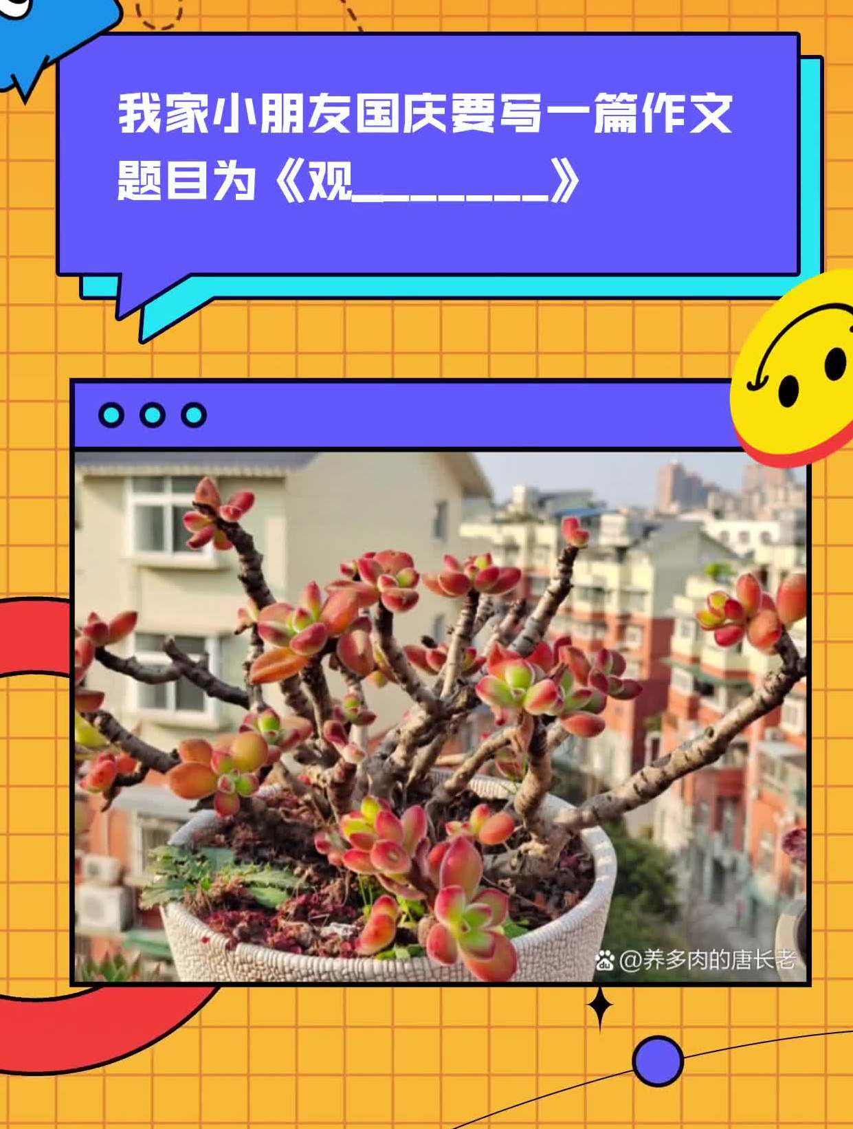 我家小朋友国庆要写一篇作文,题目为《观_______》