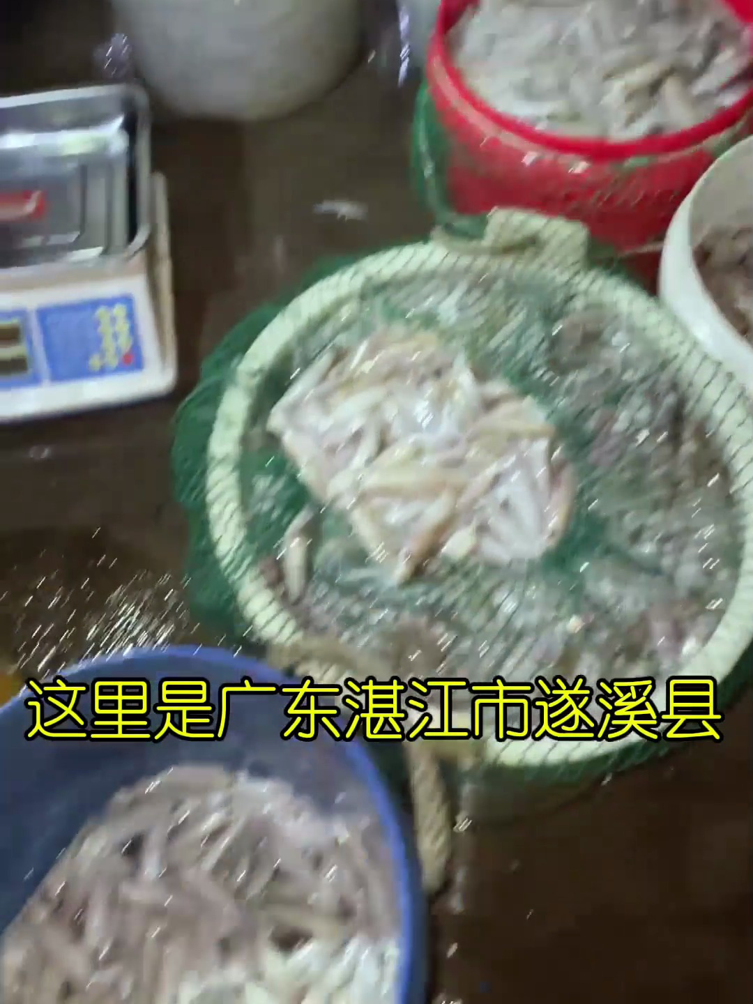 灯光鱿鱼泛滥成灾啦,渔民大丰收