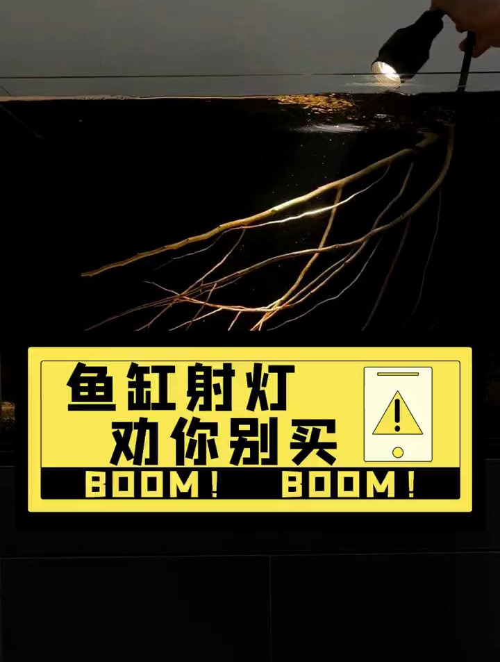 鱼缸射灯有啥好坏?氛围感太强,劝你别买!