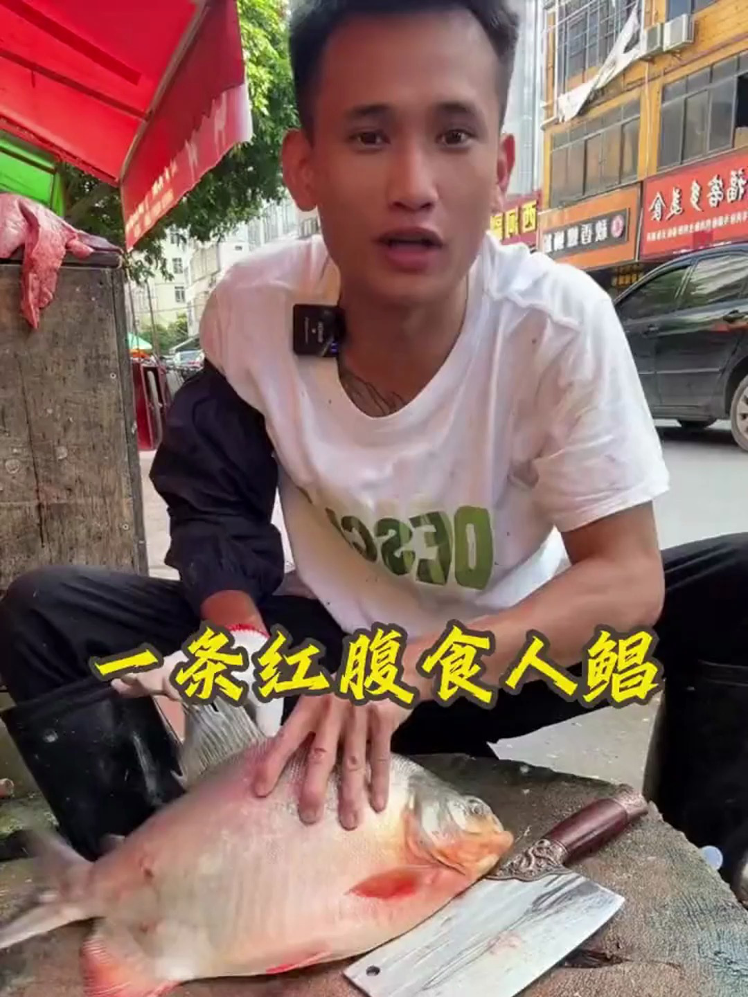 客人想要条红腹食人鲳,据说这鱼在个别地区用粪便喂养