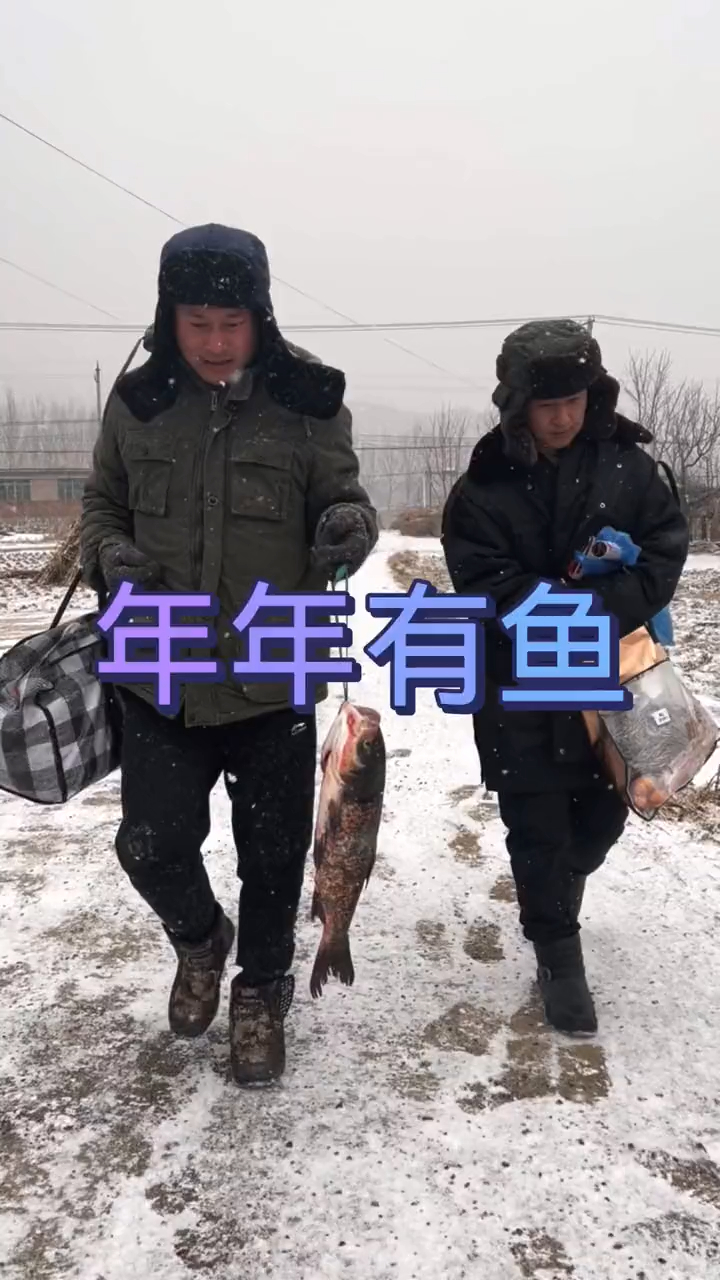 年年有鱼的张同学